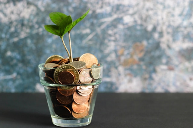 Money in a plot